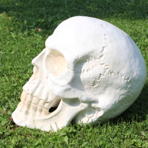 XXL Deko Totenkopf Skull weiss